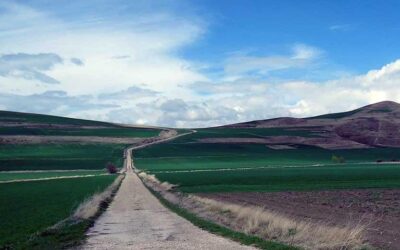 Lives Changed by the Camino